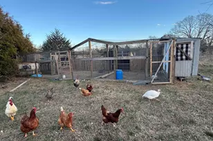 9070 Greenpond Rd, Gray Court, SC 29645 - Photo 18