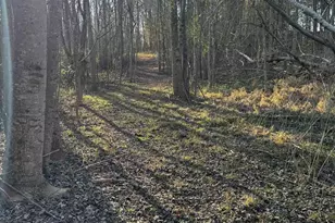 9070 Greenpond Rd, Gray Court, SC 29645 - Photo 20