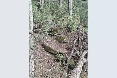 5615 Highway 11 Highway, Pickens, SC 29671 - Photo 14