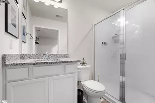 17 Apollo Vw Ln, Greenville, SC 29607 - Photo 46