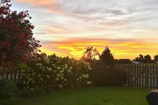 422 Bucklebury Rd, Greer, SC 29651 - Photo 44