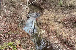 665 Oconee Creek Rd, Walhalla, SC 29691 - Photo 46