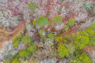 665 Oconee Creek Rd, Walhalla, SC 29691 - Photo 8