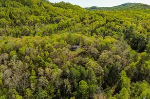 143 Cross Creek Trail, Pickens, SC 29671 - Photo 4