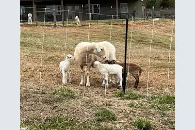 665 Oconee Creek Road, Walhalla, SC 29691 - Photo 44