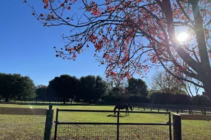 1240 1241 1242 SE Audubon Dr, Aiken, SC 29803 - Photo 20
