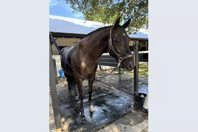 1240,1241,1242 SE Audubon Drive, Aiken, SC 29803 - Photo 30