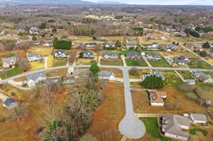6 Peach Wood Trail, Greer, SC 29651 - Photo 44