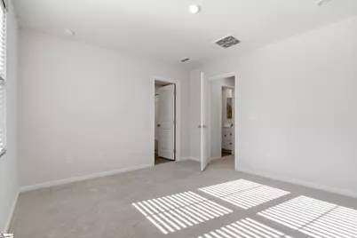 217 Juglans Way, Greer, SC 29651 - Photo 14