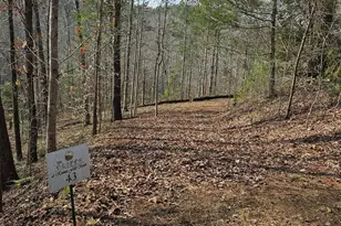 Lot 43 Deerchase Ct, Salem, SC 29676 - Photo 1