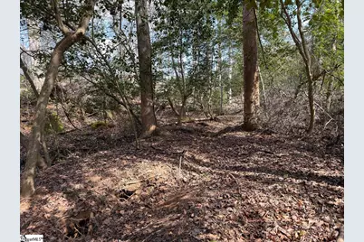 111 River Ridge Drive, Moore, SC 29369 - Photo 46