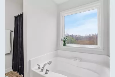 206 Clear Court, Taylors, SC 29687 - Photo 30