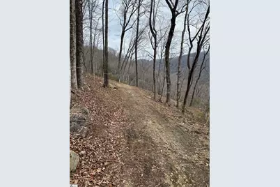 39 Panther Park Trail, Travelers Rest, SC 29690 - Photo 6