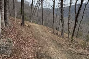 39 Panther Park Trail, Travelers Rest, SC 29690 - Photo 6