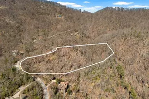 39 Panther Park Trail, Travelers Rest, SC 29690 - Photo 4