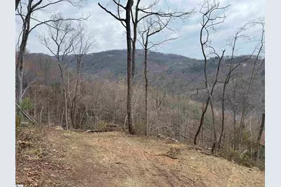 1328 Panther Park Trail, Travelers Rest, SC 29690 - Photo 4