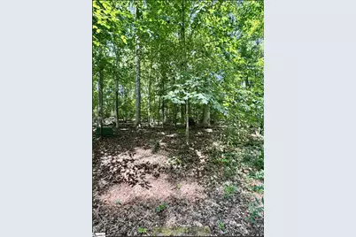 Lot B Adair Place, Laurens, SC 29360 - Photo 2