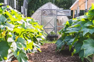 403 Mountain Top Trail, Easley, SC 29640 - Photo 46