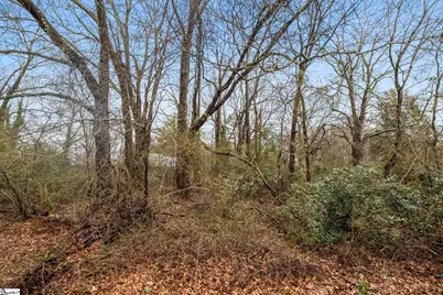 113 McNeese Drive #Lot 2, Greenville, SC 29605 - Photo 8