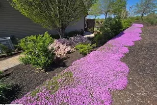 2 Mossycup Rd, Taylors, SC 29687 - Photo 32