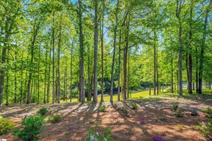 1 Long Shadow Ln, Travelers Rest, SC 29690 - Photo 46