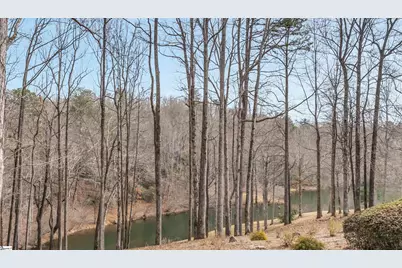 1 Long Shadow Lane, Travelers Rest, SC 29690 - Photo 42