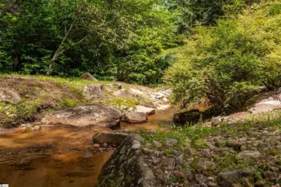 8 Rustic Court, Landrum, SC 29356 - Photo 46