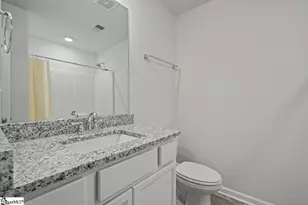 1 Apollo Vw Ln, Greenville, SC 29607 - Photo 12