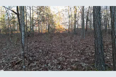 303 Monticello Court, Gray Court, SC 29645 - Photo 8