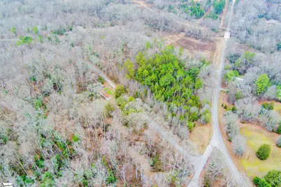 00 Baynes Creek Road, Gray Court, SC 29645 - Photo 6