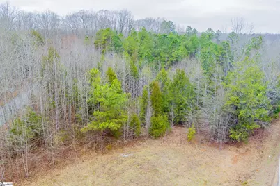 00 Baynes Creek Road, Gray Court, SC 29645 - Photo 12