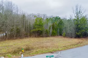 00 Baynes Creek Rd, Gray Court, SC 29645 - Photo 1