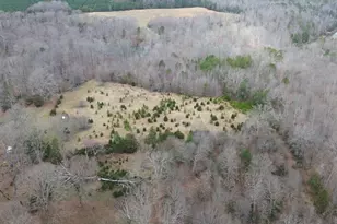 0 Pooletown Rd, Laurens, SC 29360 - Photo 1