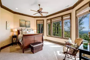 11 Moss Falls Ln, Landrum, SC 29356 - Photo 38