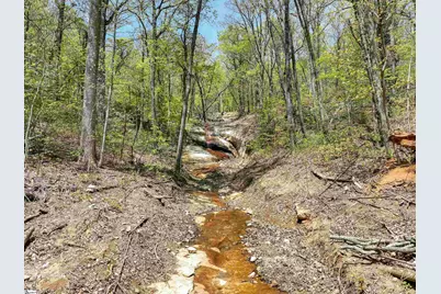 11 Moss Falls Lane, Landrum, SC 29356 - Photo 46