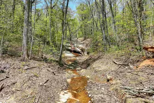 11 Moss Falls Ln, Landrum, SC 29356 - Photo 46