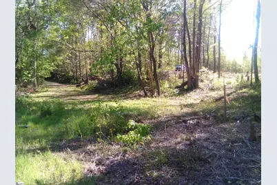 91 Emma Drive, Campobello, SC 29322 - Photo 4