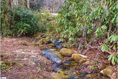 401 Rocky Bottom Road, Sunset, SC 29685 - Photo 24