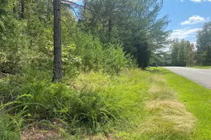 203 W Peninsula Dr, Laurens, SC 29360 - Photo 1