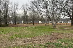 294 Jones Rd, Fountain Inn, SC 29644 - Photo 4