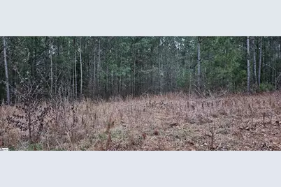 00 Hilltop Drive, Cross Hill, SC 29332 - Photo 2