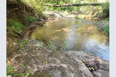 00 Little Africa Road, Campobello, SC 29322 - Photo 10