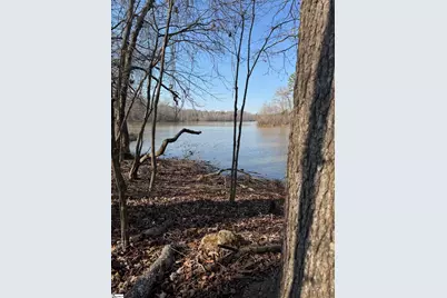 00 Secession Road, Anderson, SC 29621 - Photo 2