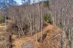 146 Glassy Falls Trail, Travelers Rest, SC 29690 - Photo 24