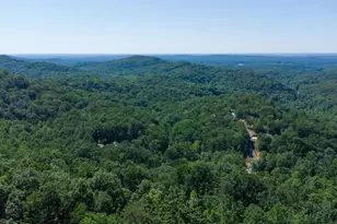 146 Glassy Falls Trail, Travelers Rest, SC 29690 - Photo 4