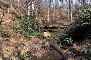 146 Glassy Falls Trail, Travelers Rest, SC 29690 - Photo 42