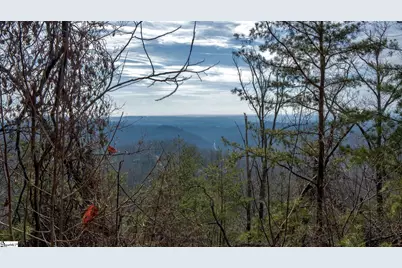 146 Glassy Falls Trail, Travelers Rest, SC 29690 - Photo 12