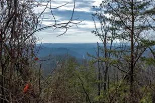 146 Glassy Falls Trail, Travelers Rest, SC 29690 - Photo 12