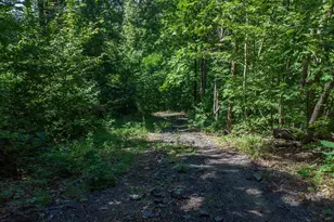 146 Glassy Falls Trail, Travelers Rest, SC 29690 - Photo 8