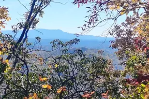 146 Glassy Falls Trail, Travelers Rest, SC 29690 - Photo 46